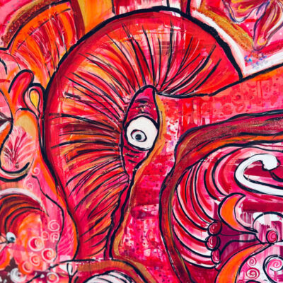 Andrea KainzWhatsApp Image 2025-08-06 at 11.09.38