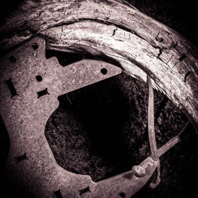 AusstellungNaturPurFriedhelmBild1