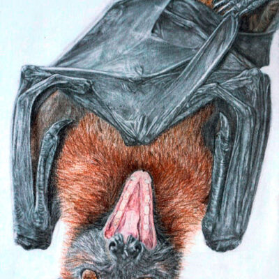 WhatsApp Image 2025-07-03 at 15.54.41